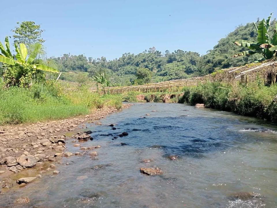 Tanah murah langsung berdampingan sungai, akses bisa untuk lewat mobil