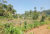 Tanah murah langsung berdampingan sungai, akses bisa untuk lewat mobil