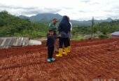 Tanah Murah SHM Dijual BU Lokasi Puncak Cipanas