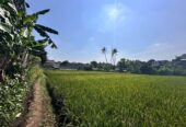 Bismillah. Jual Lahan Super Luas , Semoga Ada Pembeli Yg Benar Minat !!!