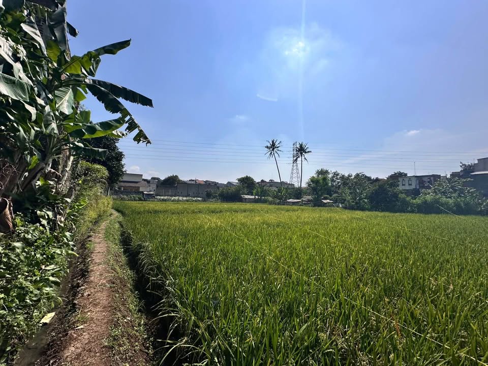 Bismillah. Jual Lahan Super Luas , Semoga Ada Pembeli Yg Benar Minat !!!