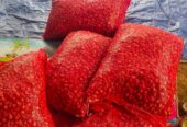 Bawang merah lokal super besar