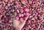 Bawang merah lokal super besar