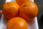 🍊🍇 KOMBO SEGAR & MANIS: Jeruk Wogan Super & Anggur Merah Fresh! 🍇🍊