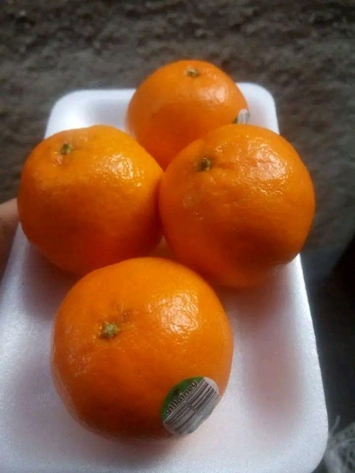 🍊🍇 KOMBO SEGAR & MANIS: Jeruk Wogan Super & Anggur Merah Fresh! 🍇🍊