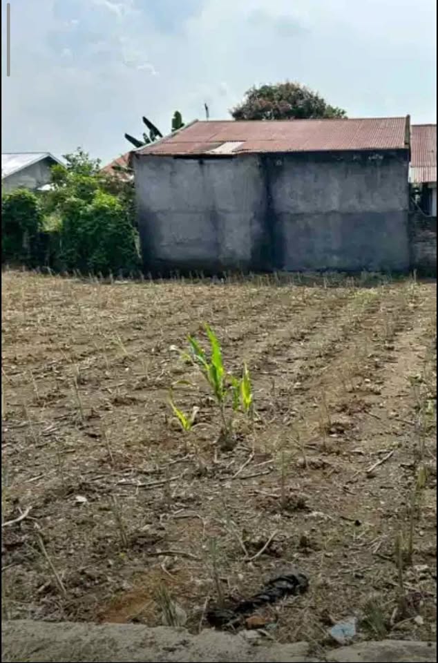 Dijual Tanah dengan luas 176 m di simalingkar B