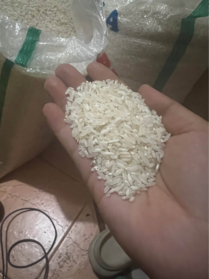 DIJUAL BERAS ROJO LELE SUPER 25 KG