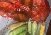 Jual jagung manis murah dijamin sip