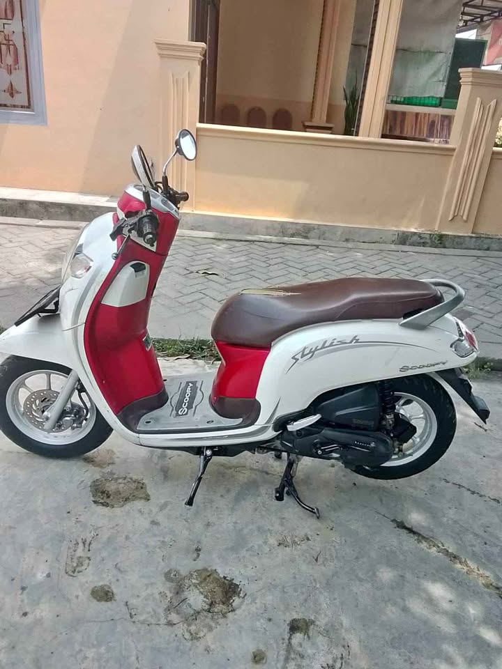 2020 A.P.C Motor Company honda