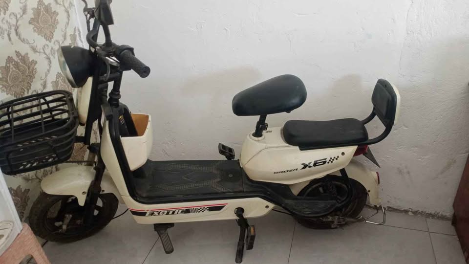 Sepeda listrik exotic x6 barang lelang