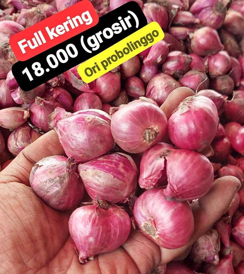 Bawang merah kering super