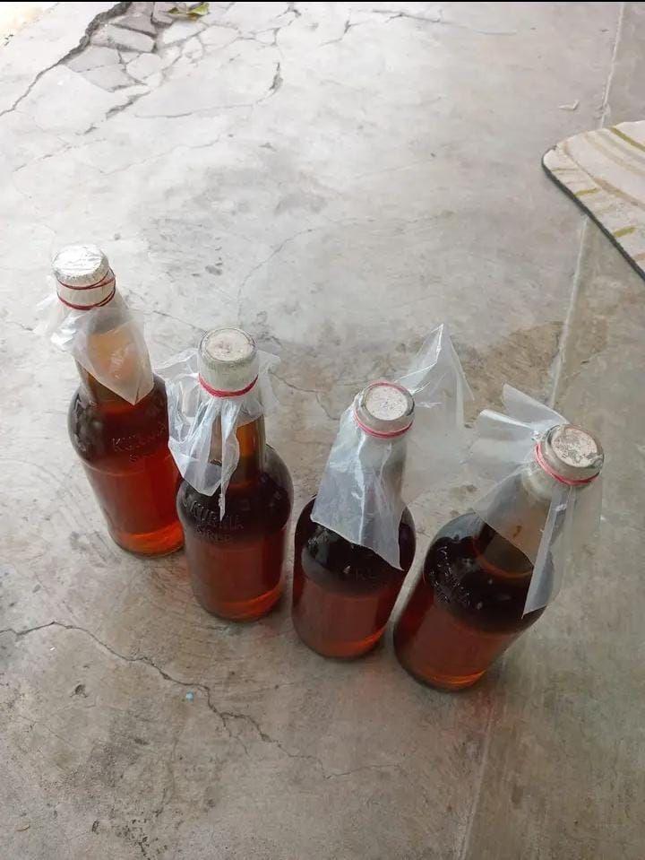 Madu kampung dari sarang nya