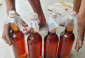 Madu kampung dari sarang nya