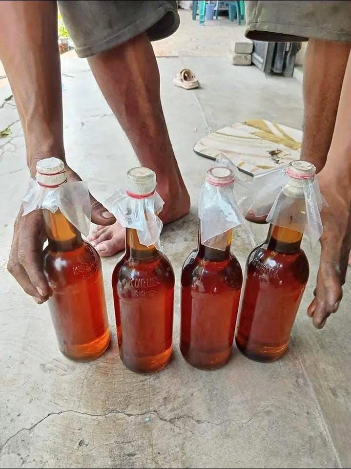 Madu kampung dari sarang nya