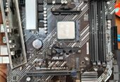 Ryzen 5 5600 Asus Prime B450M