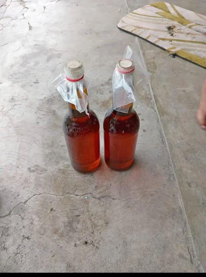Madu kampung dari sarang nya