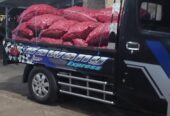 Bawang merah kering super
