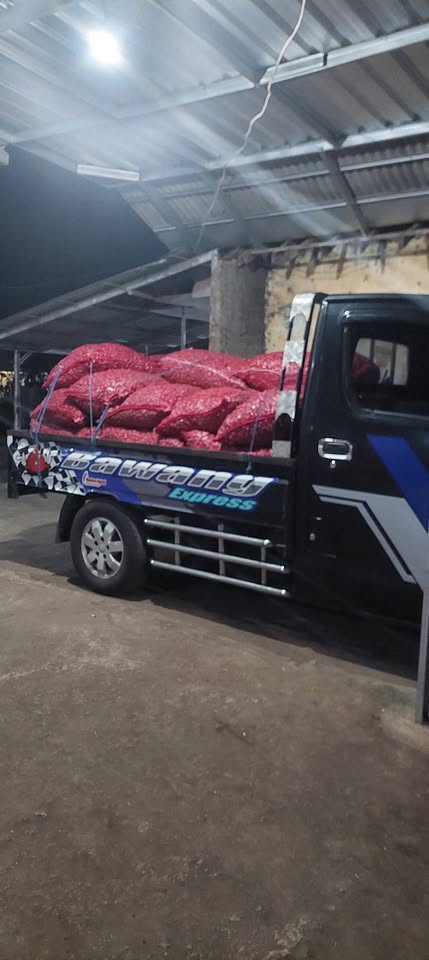 Bawang merah kering super