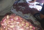 Brambang super jos kering