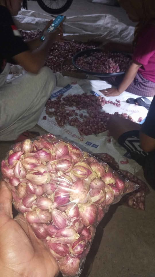 Brambang super jos kering