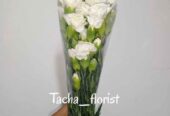 Bunga carnation fresh mekar