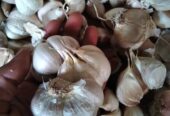 Bawang putih super dan sudah kering