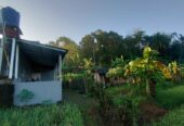 Rumah Beserta Sawah Dengan Panorama Alam Yang Indah
