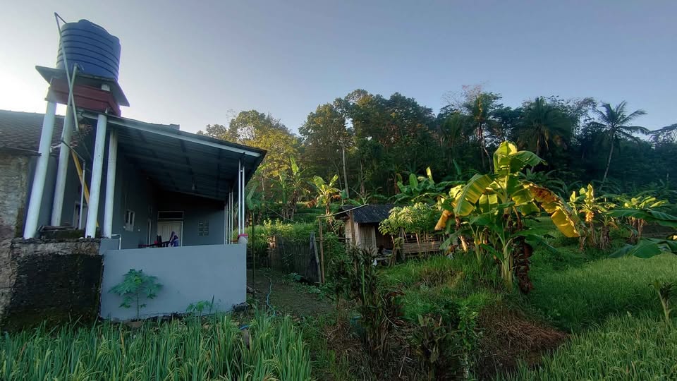 Rumah Beserta Sawah Dengan Panorama Alam Yang Indah