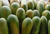 Pepaya CALIFORNIA buah segar