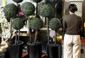 Pohon bola hias Artificial