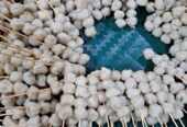 Otakotak,sempol,sempol krispy,batagor,bakso polos,bakso krispy dll