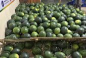 Semangka tanpa biji merah