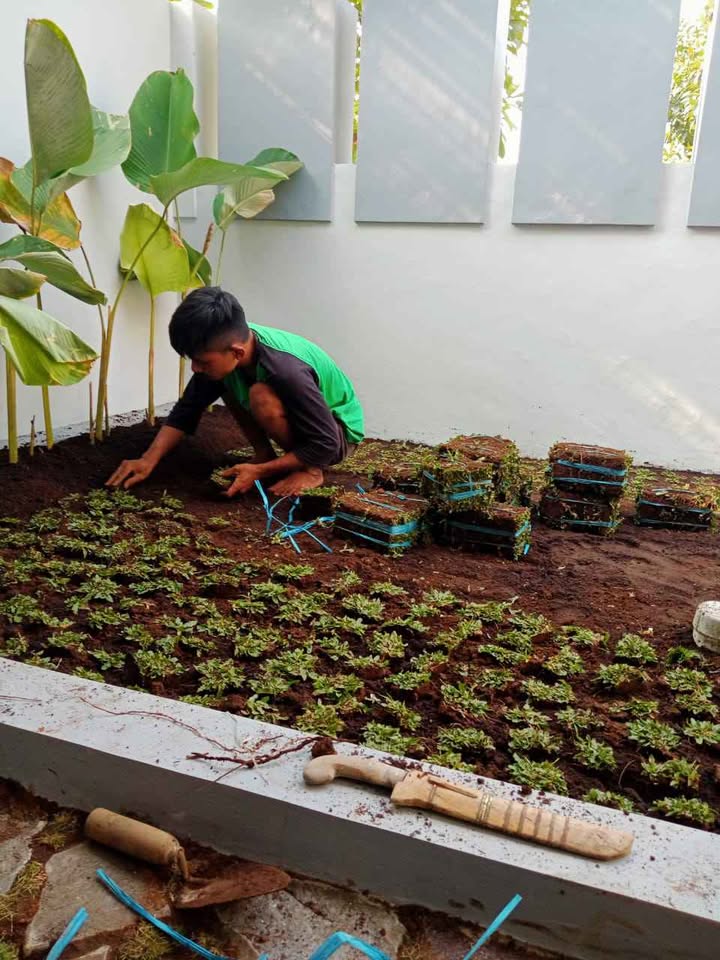 Jasa Pembuatan Dan Penataan Taman Minimalis