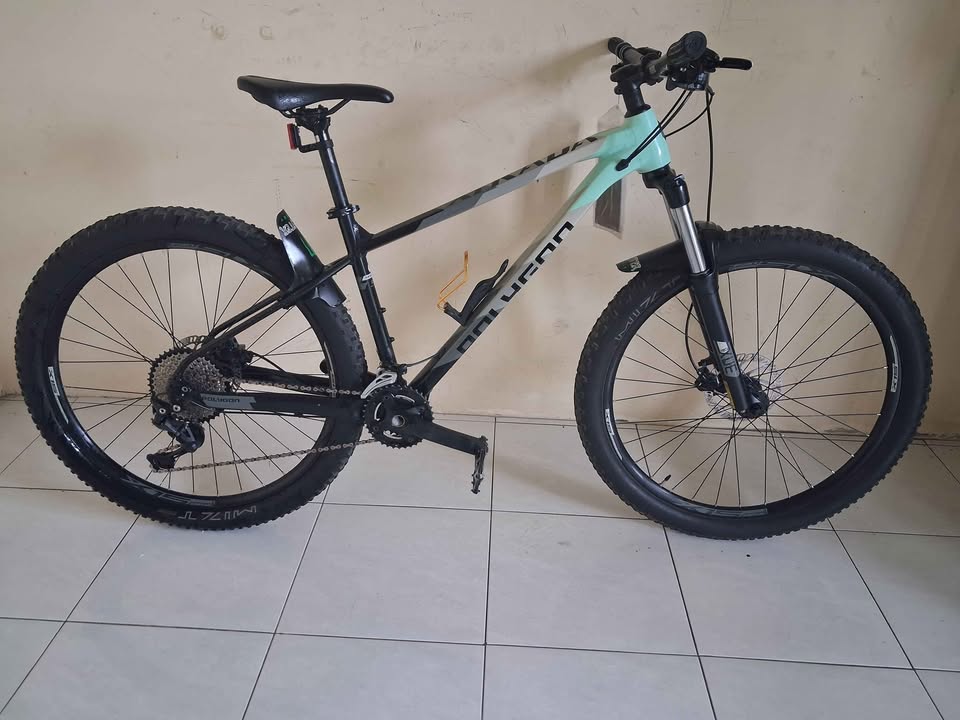 Di Jual Polygon xtrada 5 2021