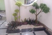 Jasa Pembuatan Dan Penataan Taman Minimalis