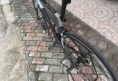 Roadbike Pasific Varilux 5.0 sz 48