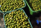 Buah Matoa kering super fresh