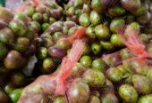 Buah Matoa kering super fresh