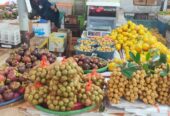Buah Matoa kering super fresh