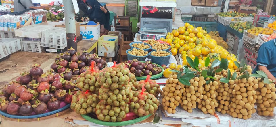 Buah Matoa kering super fresh