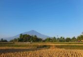 Tanah Murah Dekat Garut Kota , Akses Mobil
