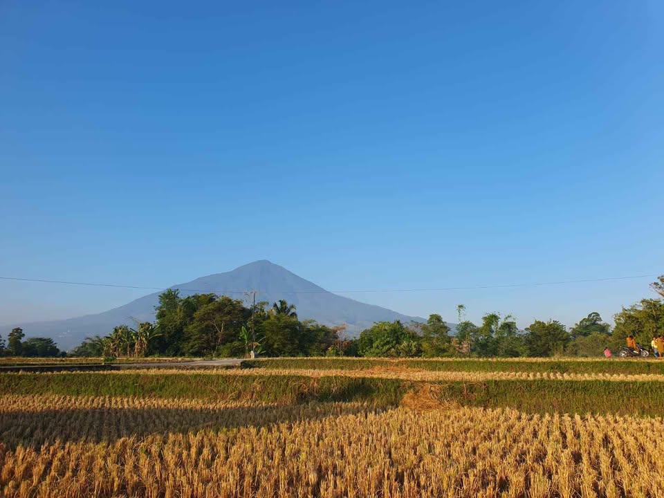 Tanah Murah Dekat Garut Kota , Akses Mobil