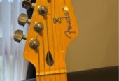 Fender Stratocaster Player Series Mexico