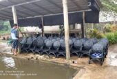 Di jual kursi pemancingan dari Ban