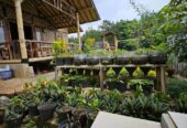 Dijual Villa Saung Banjaran Bandung Suasa Sejuk Asri