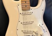 Fender Stratocaster Player Series Mexico