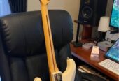 Fender Stratocaster Player Series Mexico