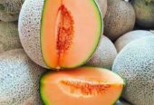 Sky Rock Melon Manis Orange