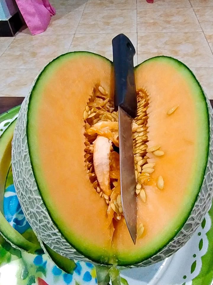 Sky Rock Melon Manis Orange
