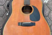 Morris W-18 Gitar Akustik